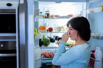 cheiro ruim na geladeira como tirar