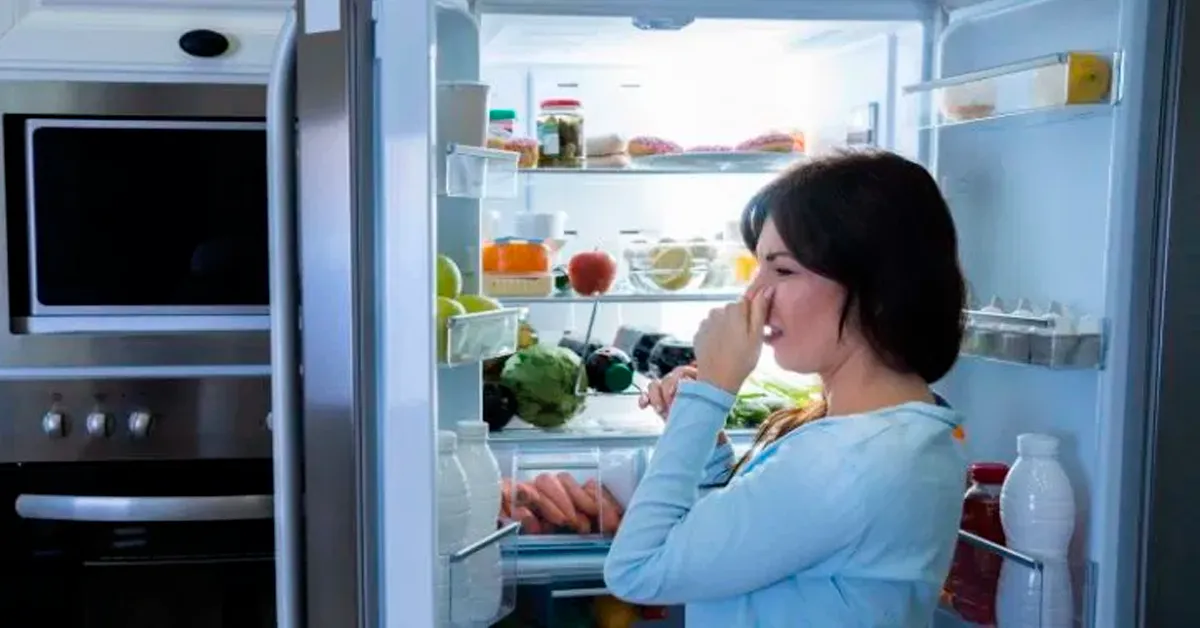 cheiro ruim na geladeira como tirar